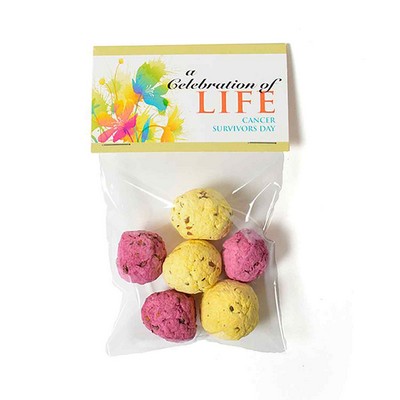 Seed Paper Bomb, Cello 6 Pack